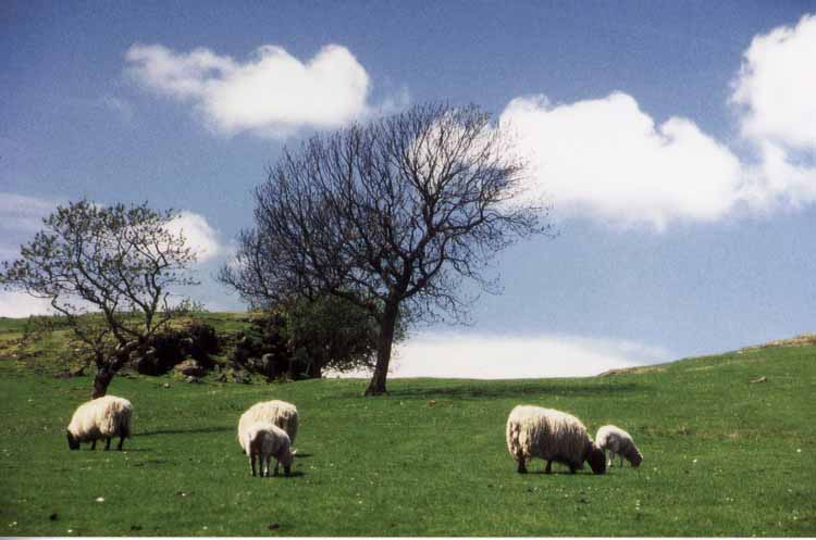 Hadrian's Wall